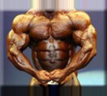 Beginner steroid cycle