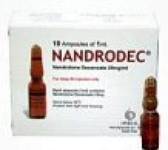 Nandrodec