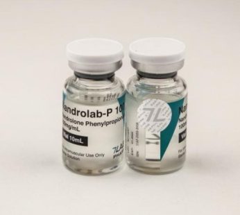 Nandrolab-P 100