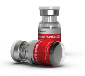 Testabol Enanthate