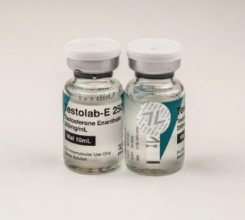 Testolab-E 250