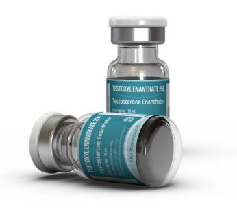 Testoxyl Enanthate 250